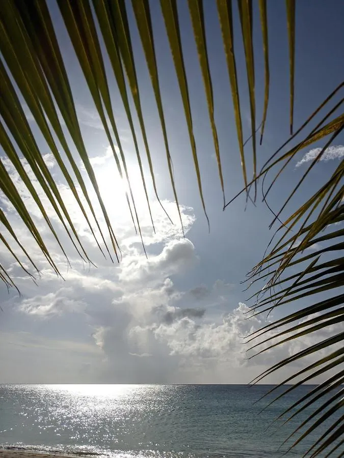 Ocean Blue Luxury Apartment - Beachfront - Glitter Bay 203 Saint James 0*,  Barbados